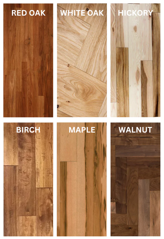 meet the stars of hardwood Hardwood | Brian's Flooring & Design