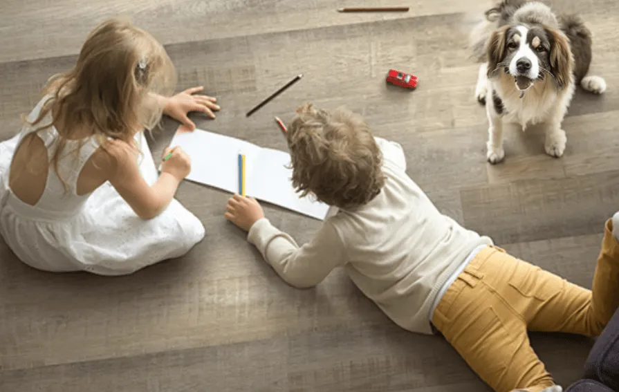 Website-LVP-Installation-Page-After Pet friendly Luxury vinyl | Brian's Flooring & Design