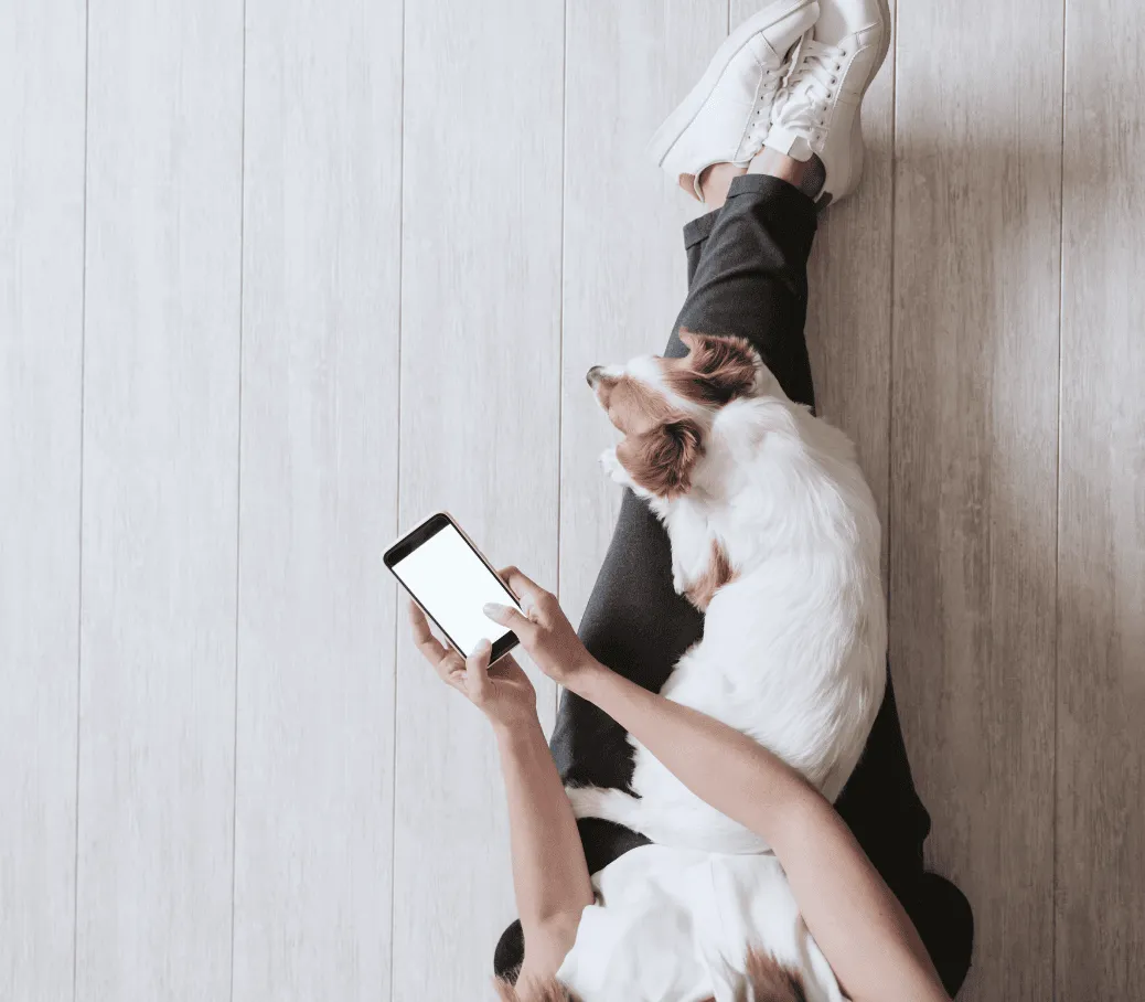 Laminate | Brian's Flooring & Design